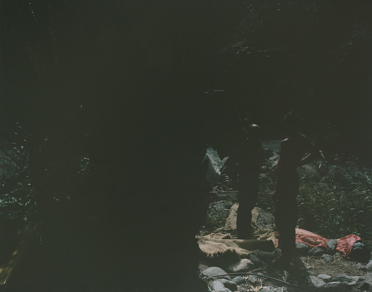 Image Description