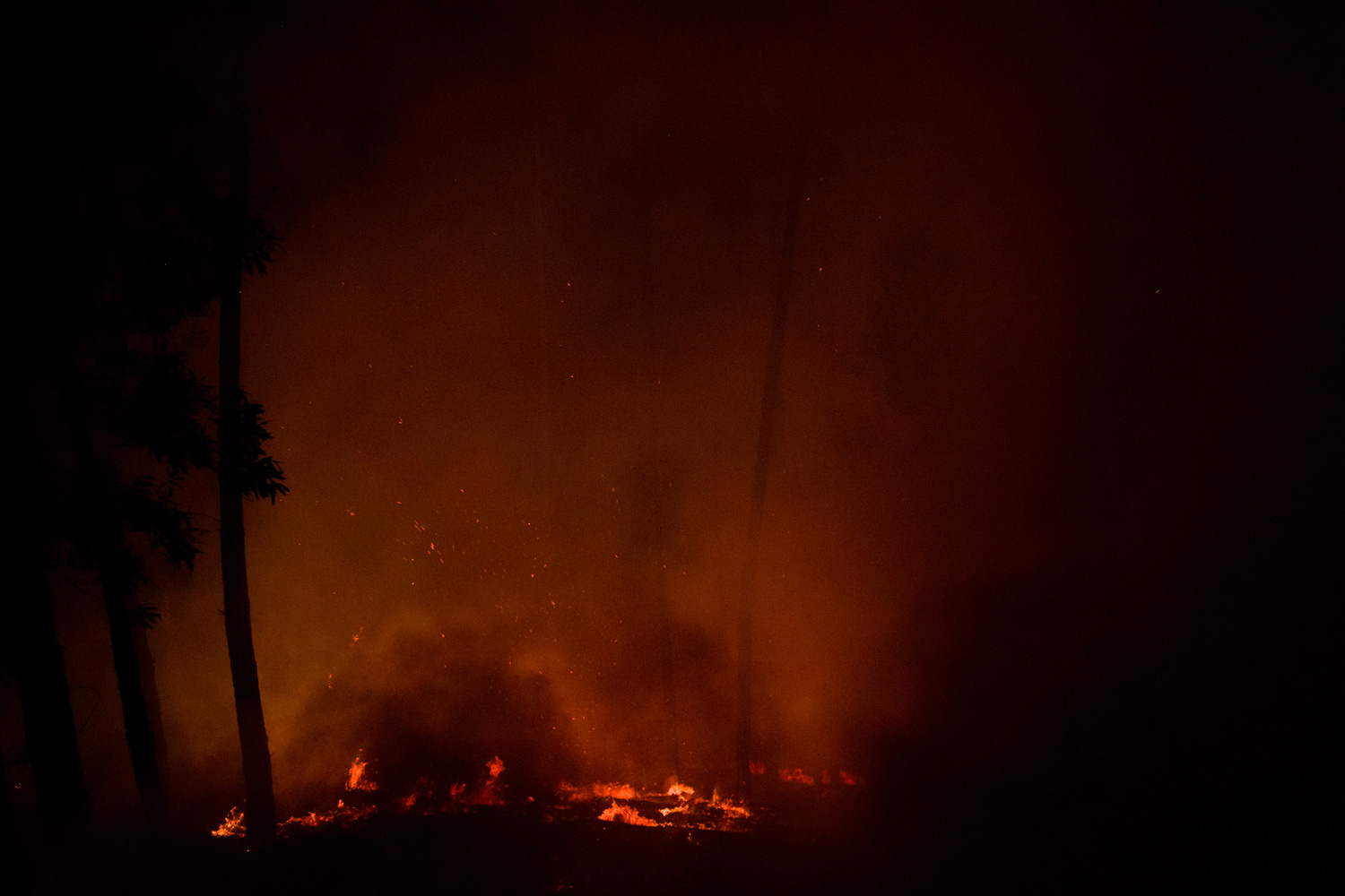 © Gonçalo Fonseca, A Burning Lanscape