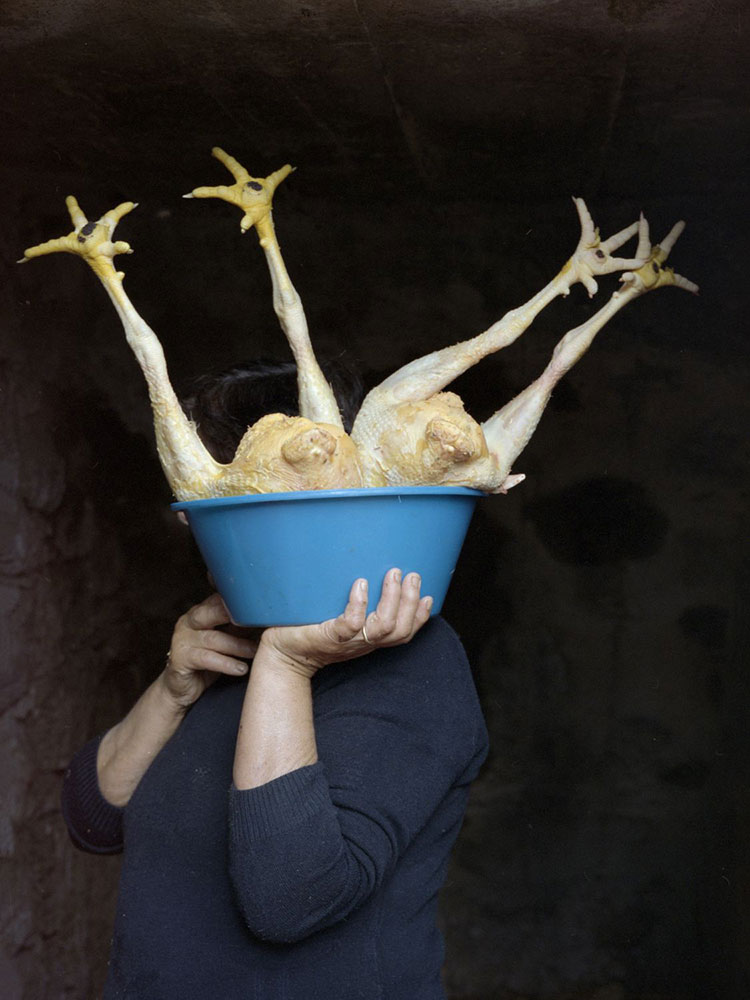 © Maria Oliveira, Bone Foam