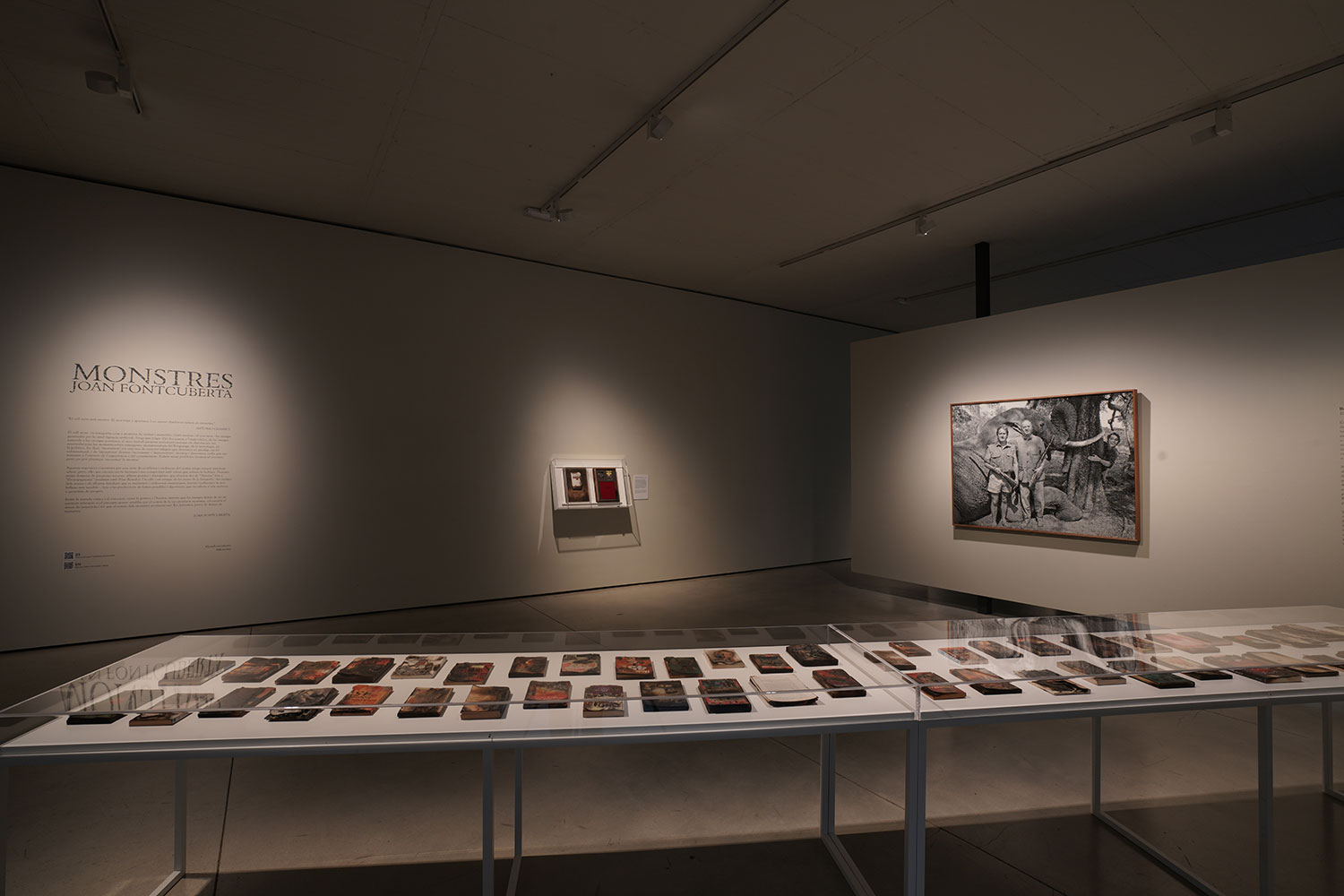 © JOAN FONTCUBERTA, Fahrenheit 451, Monstres, Fundació Vila Casas, Barcelona, octubre 2021-enero 2022