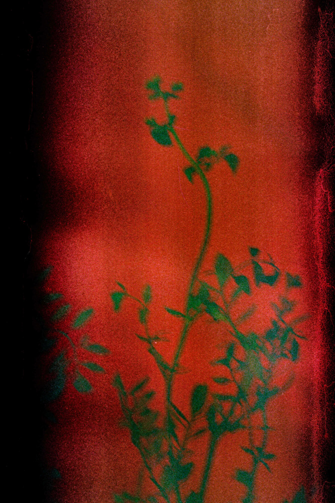 © IAN CHEIBUB, Alumbre na Macaia