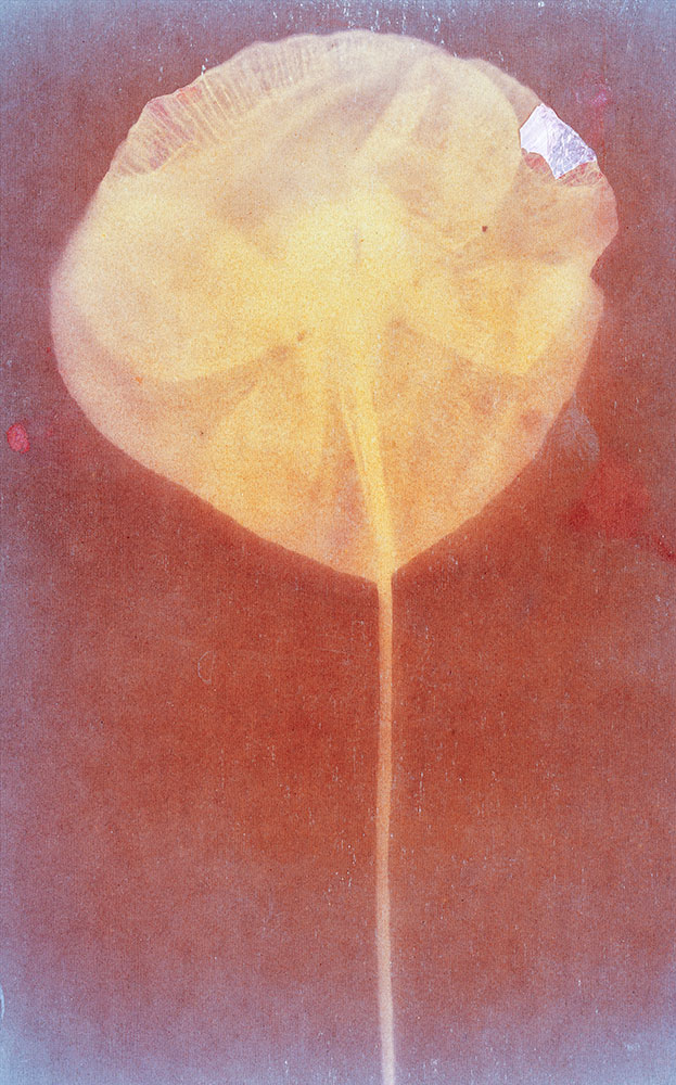 © ESTER VONPLON, Wingbeat